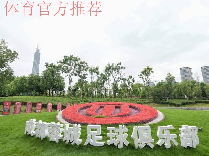 2014年中国足协业余联赛全国总决赛合肥开赛