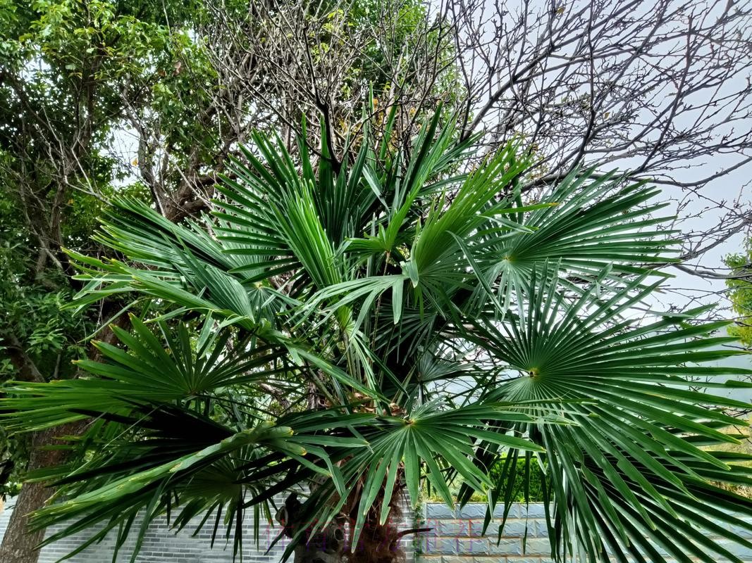 布拉贝克“以退为进” 阿提亚“掌控全局” 布拉贝克“以退为进” 阿提亚“掌控全局”